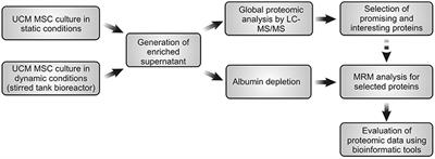 Proteomic Identification and Time-Course Monitoring of Secreted Proteins During Expansion of Human Mesenchymal Stem/Stromal in Stirred-Tank Bioreactor